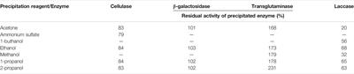 The Synthesis of (Magnetic) Crosslinked Enzyme Aggregates With Laccase, Cellulase, β-Galactosidase and Transglutaminase